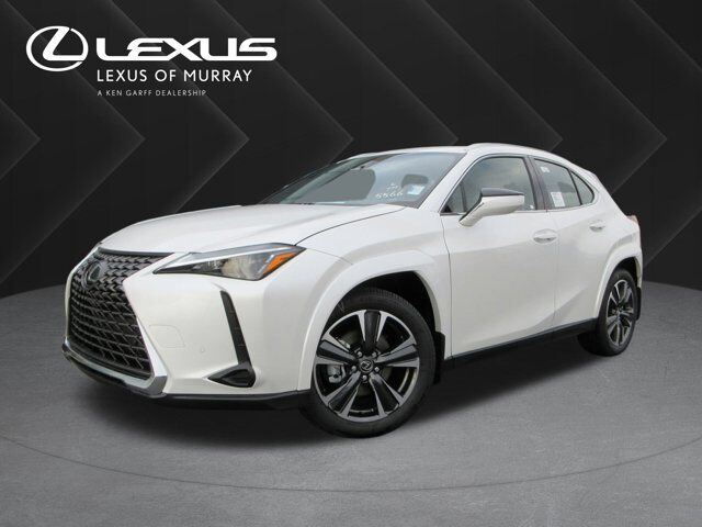 2025 Lexus UX 300h Premium