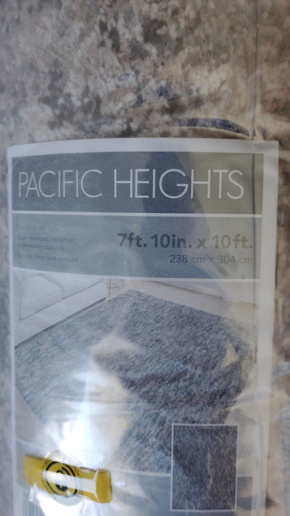 Pacific Heights Carolina Wild Blue Area Rug 7ft 10in x 10ft
