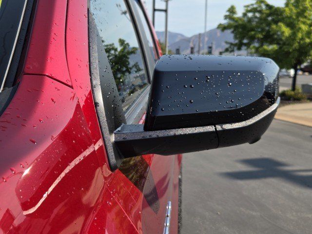 Main image 55