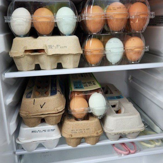 fresh eggs self-serve