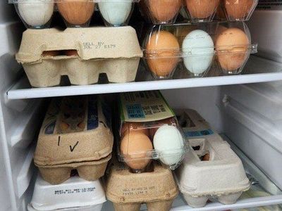 fresh eggs self-serve