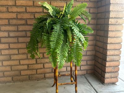 Planter Faux Boston Fern in Gold Planter on Bamboo Stand