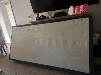 Free twin box spring