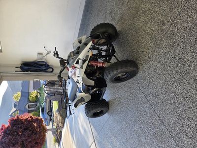 2000 Polaris trailblazer 250