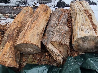 Willow Logs, cash only