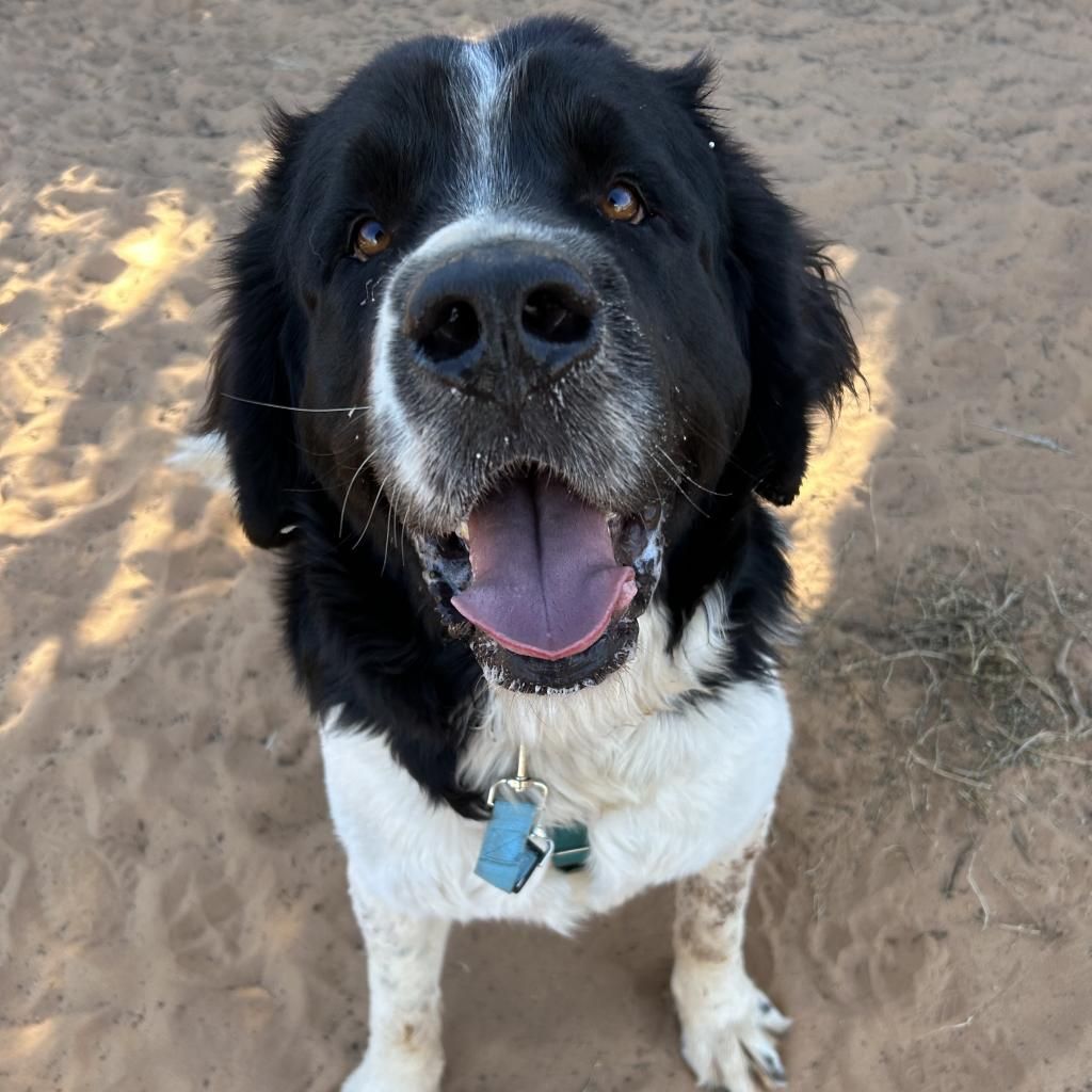 Hello my name is Oakley
