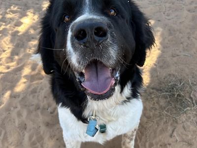 Hello my name is Oakley