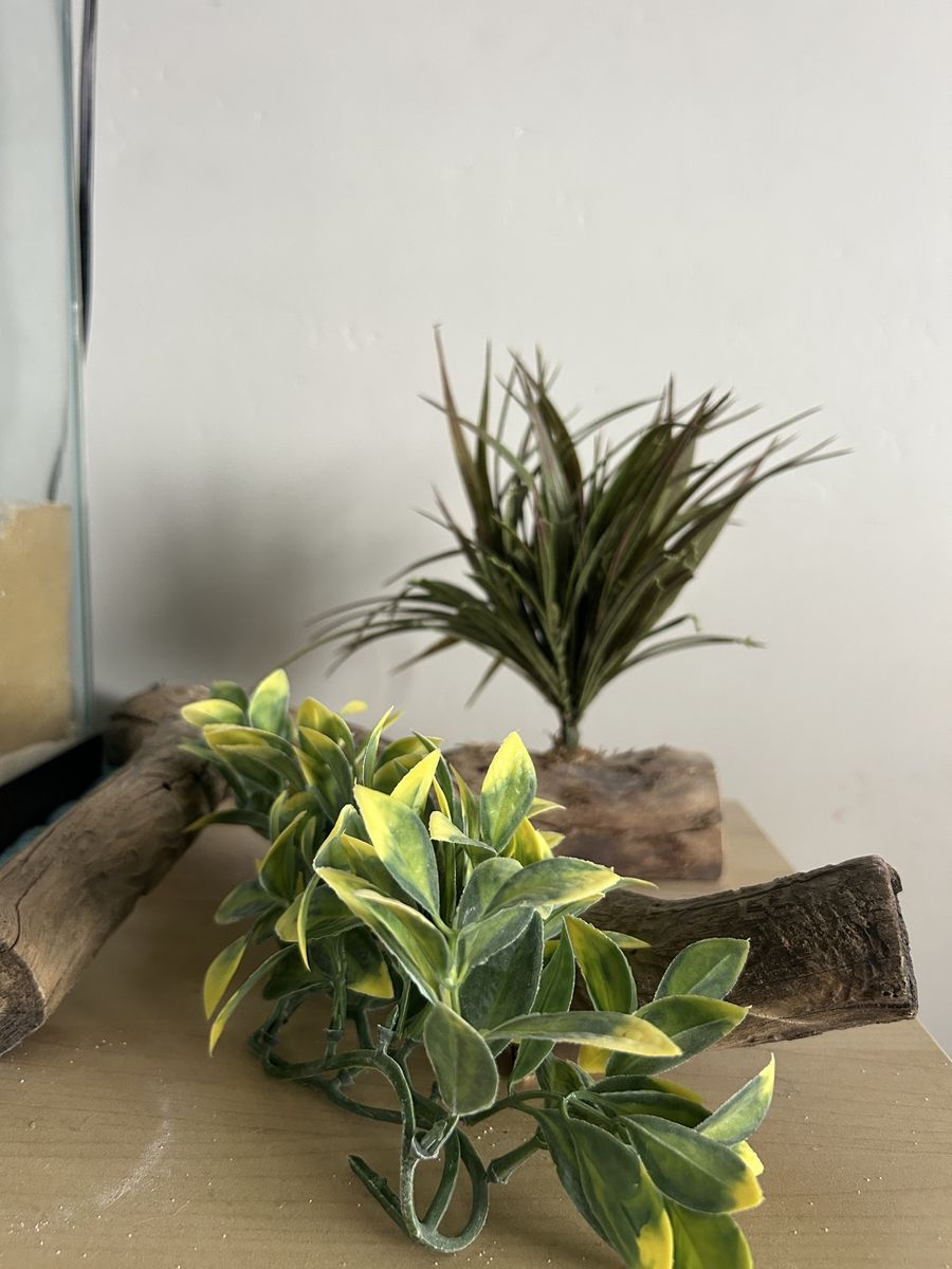 Main image 6