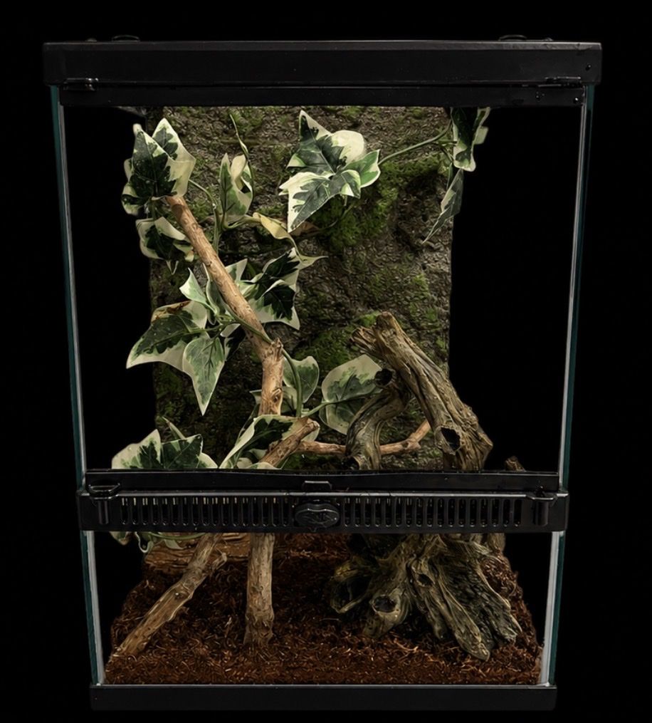 Main image 5