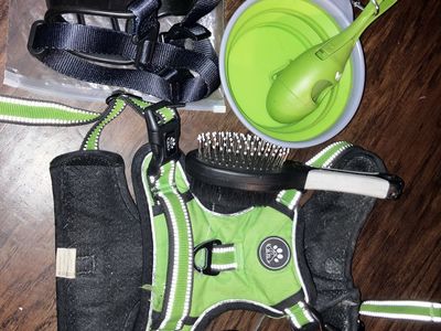 Dog supplies