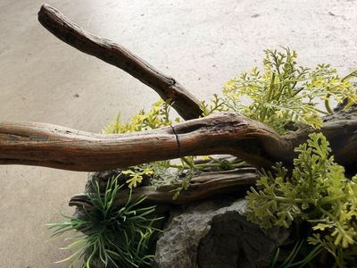 Aquarium Decoration Driftwood Rocks Artificial Plants Reptile Tank Ornament Decor