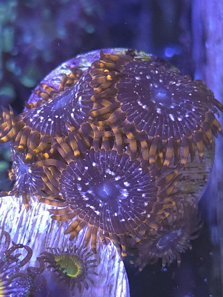 Main image 3