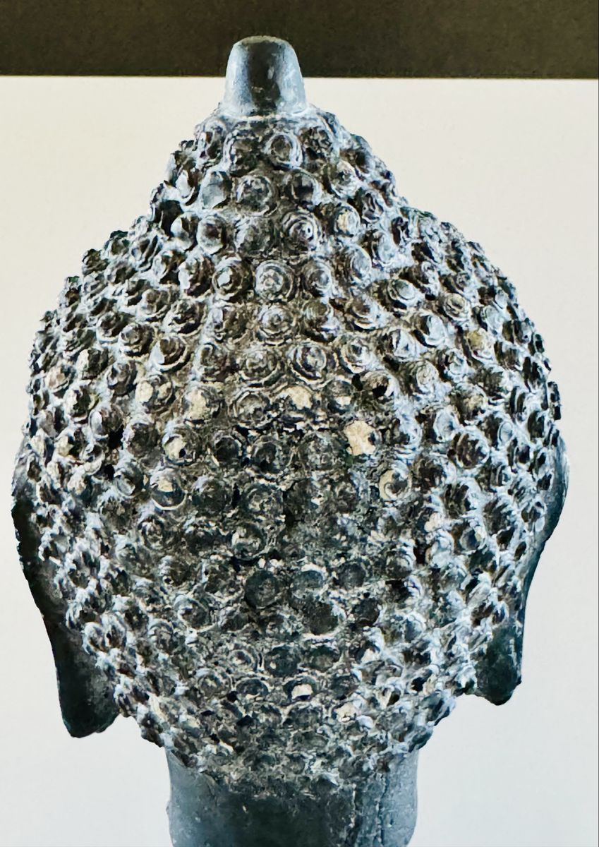 Main image 6