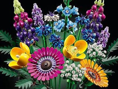 LEGO Icons Botanical Collection 10313 Wildflower Bouquet, Lego Architecture Paris Collection 21044