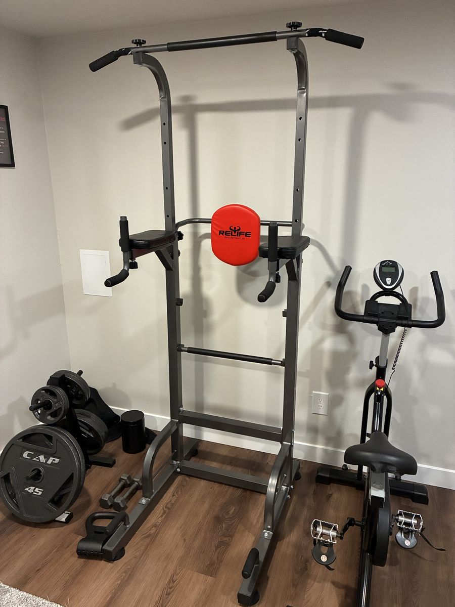 Pull Up and Dip Station