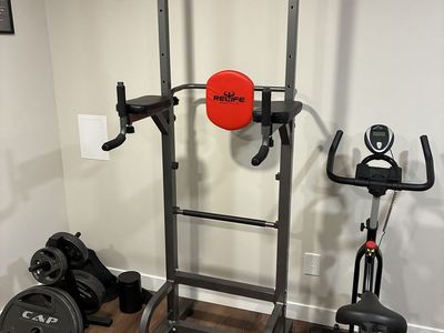 Pull Up and Dip Station