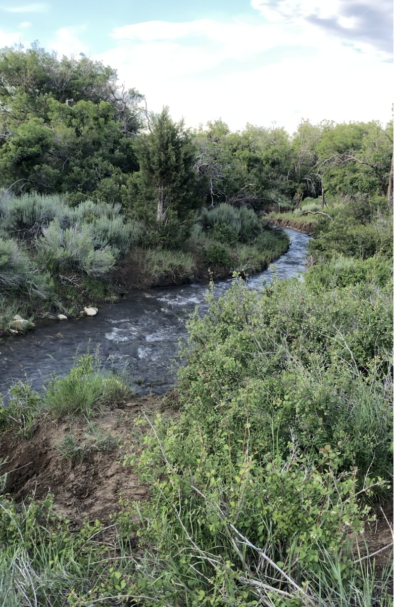 Main image 11