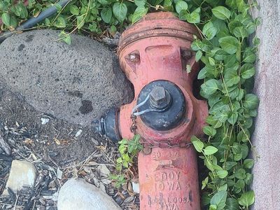 1972 Fire Hydrant
