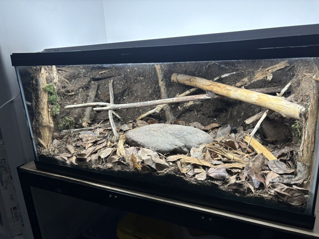 40 Gallon Enclosure