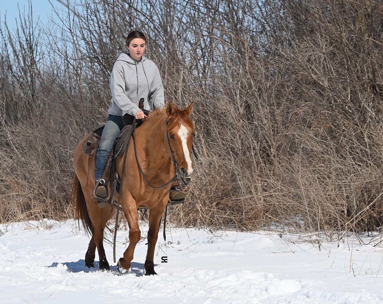 𝗕𝗥𝗢𝗞𝗘 𝗧𝗿𝗮𝗶𝗹 & 𝗥𝗮𝗻𝗰𝗵 𝗗𝘂𝗻 𝗚𝗲𝗹𝗱𝗶𝗻𝗴!