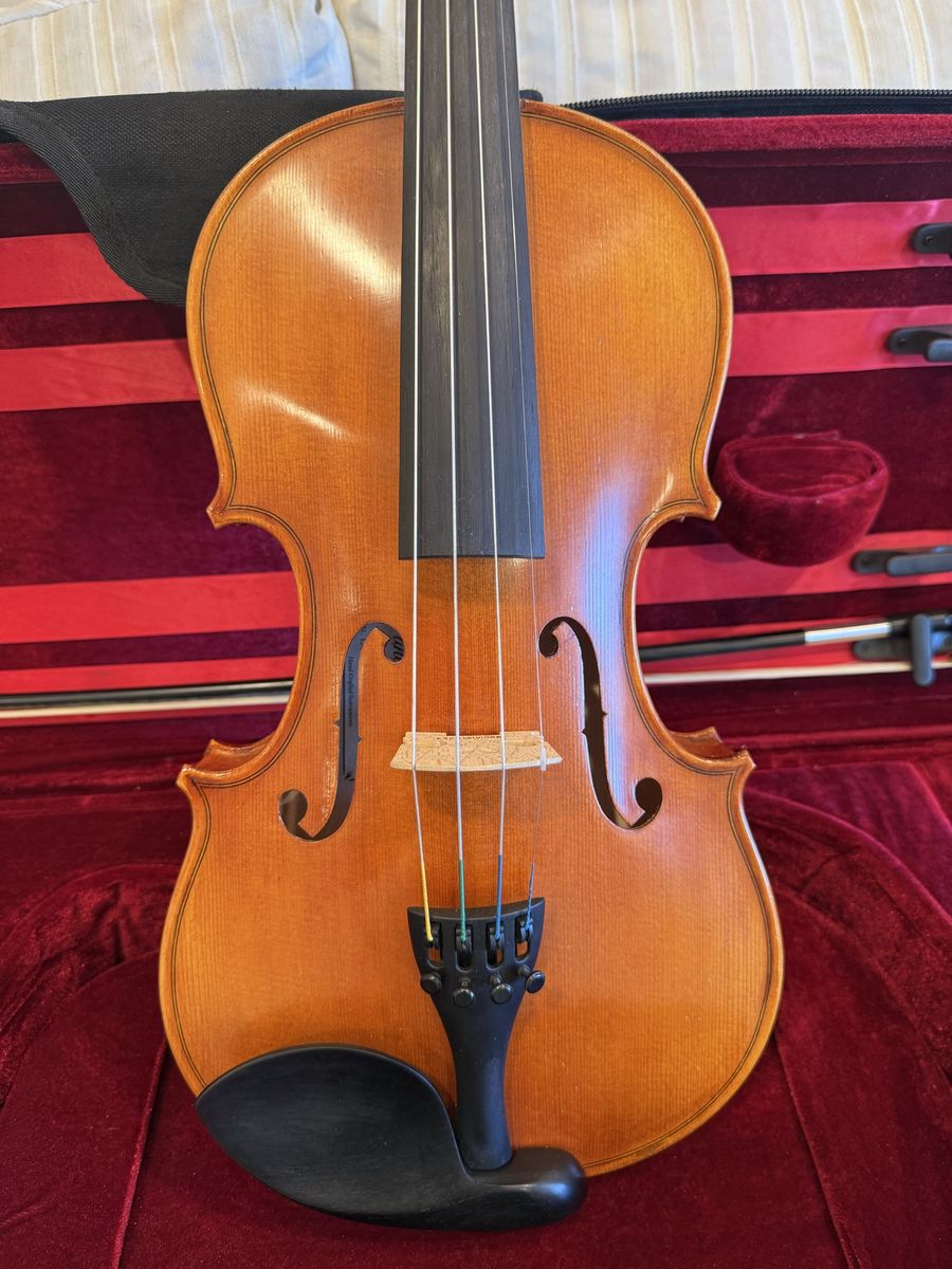 Beautiful Panetto Strings Violin