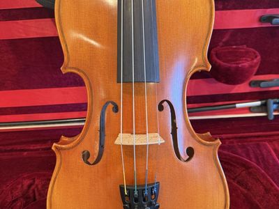 Beautiful Panetto Strings Violin