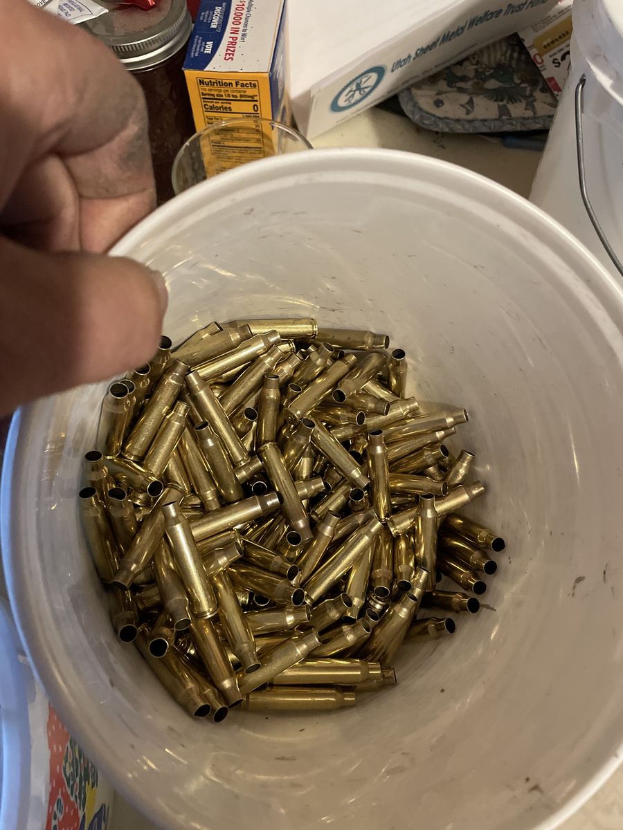 Cleaned 223 Brass