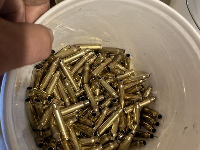 Cleaned 223 Brass