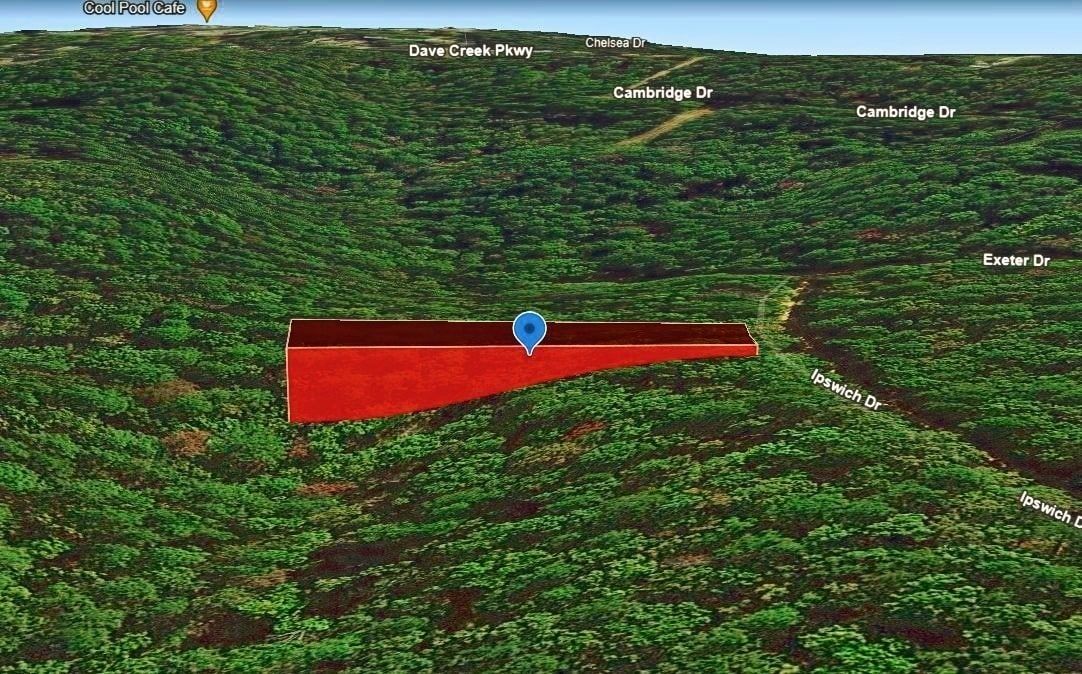Main image 9