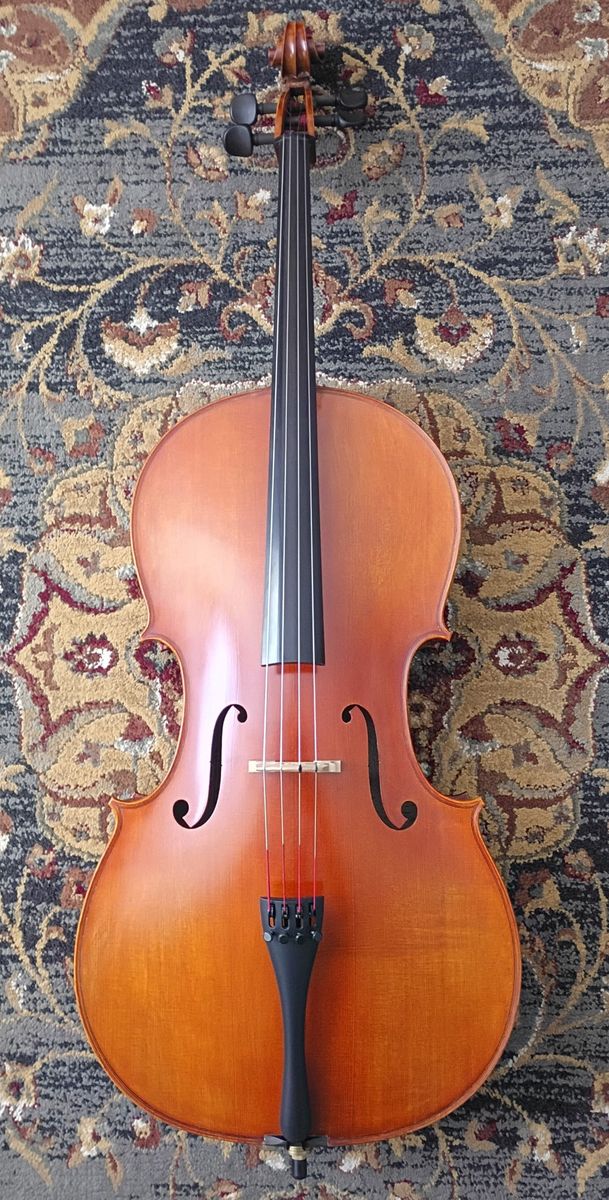 4/4 Cello Eastman VC200