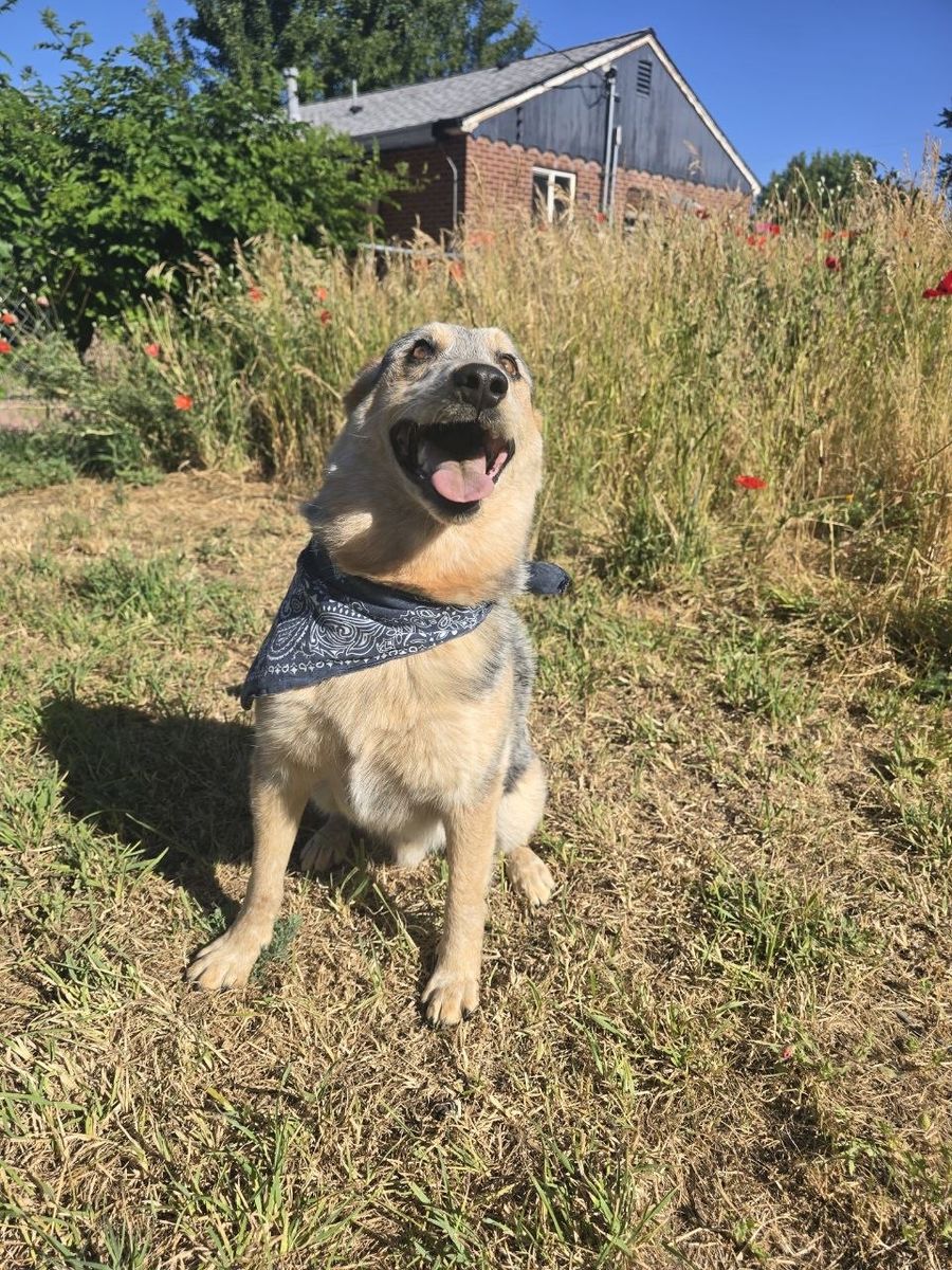 Hello my name is Cash