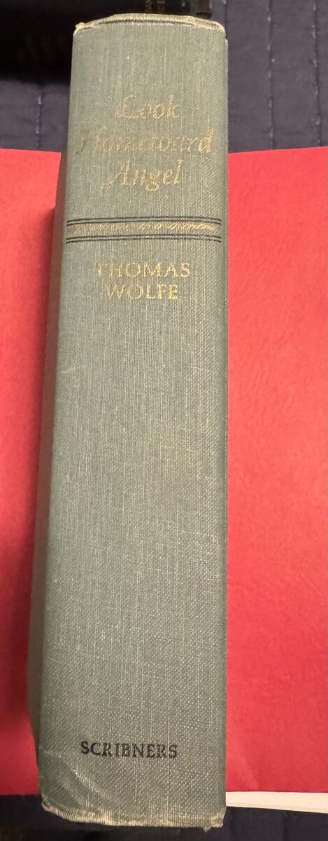 “Look Homeward Angel” by Thomas Wolfe