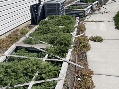Weeds Removal Yard Clean Up Mowing Great Prices