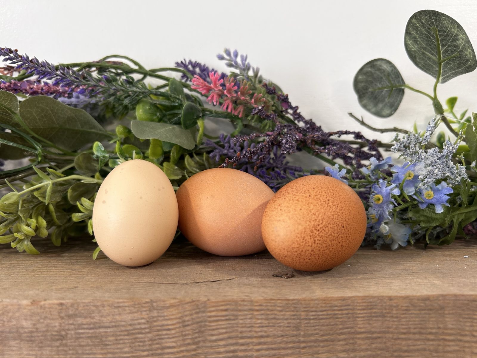 Farm Fresh Eggs Washed Or Unwashed