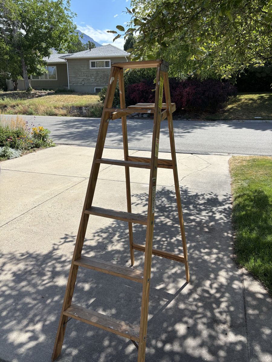 Davidson 6’ Wooden Ladder