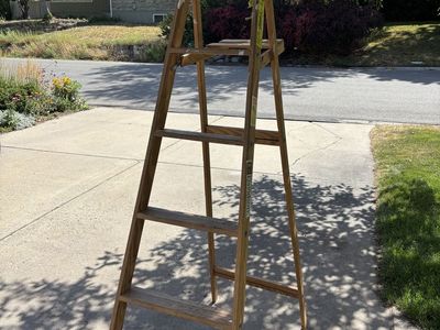 Davidson 6’ Wooden Ladder