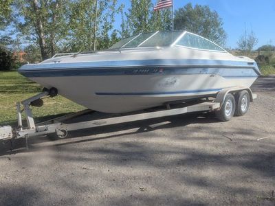 Project boat 1988 sea ray