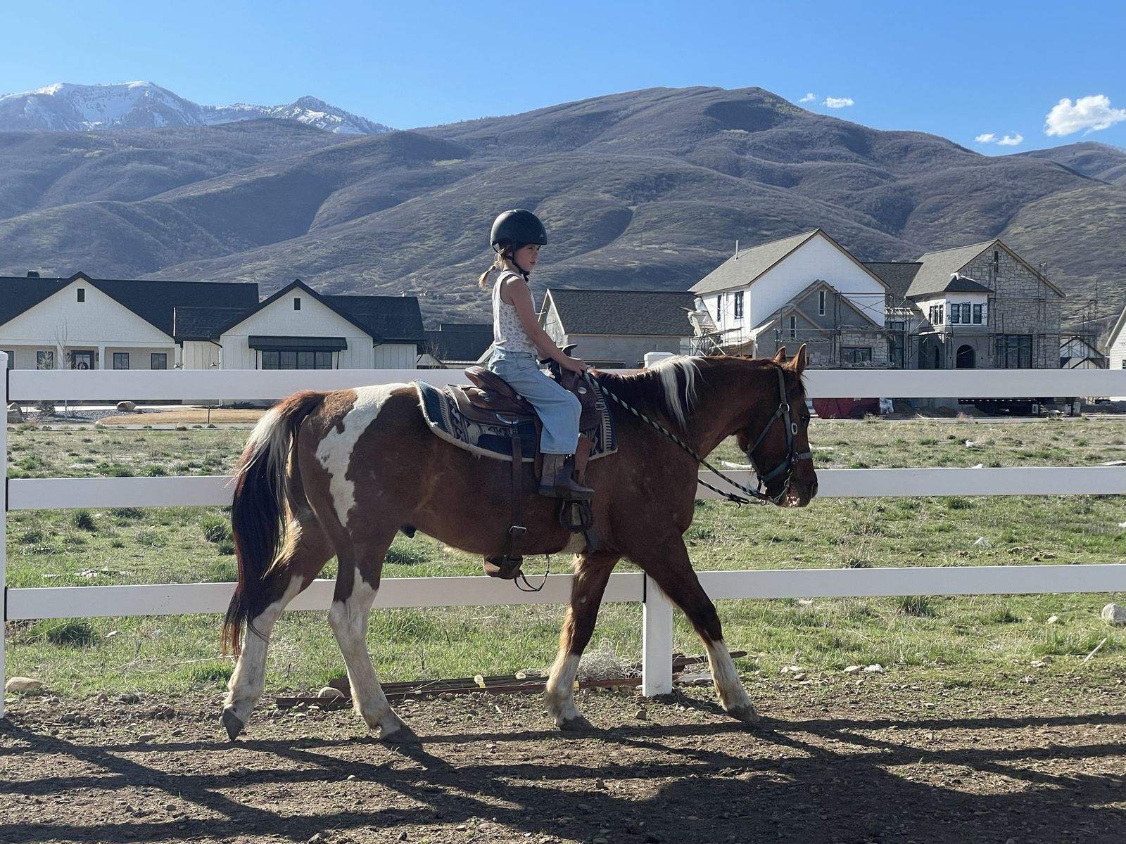 Horse