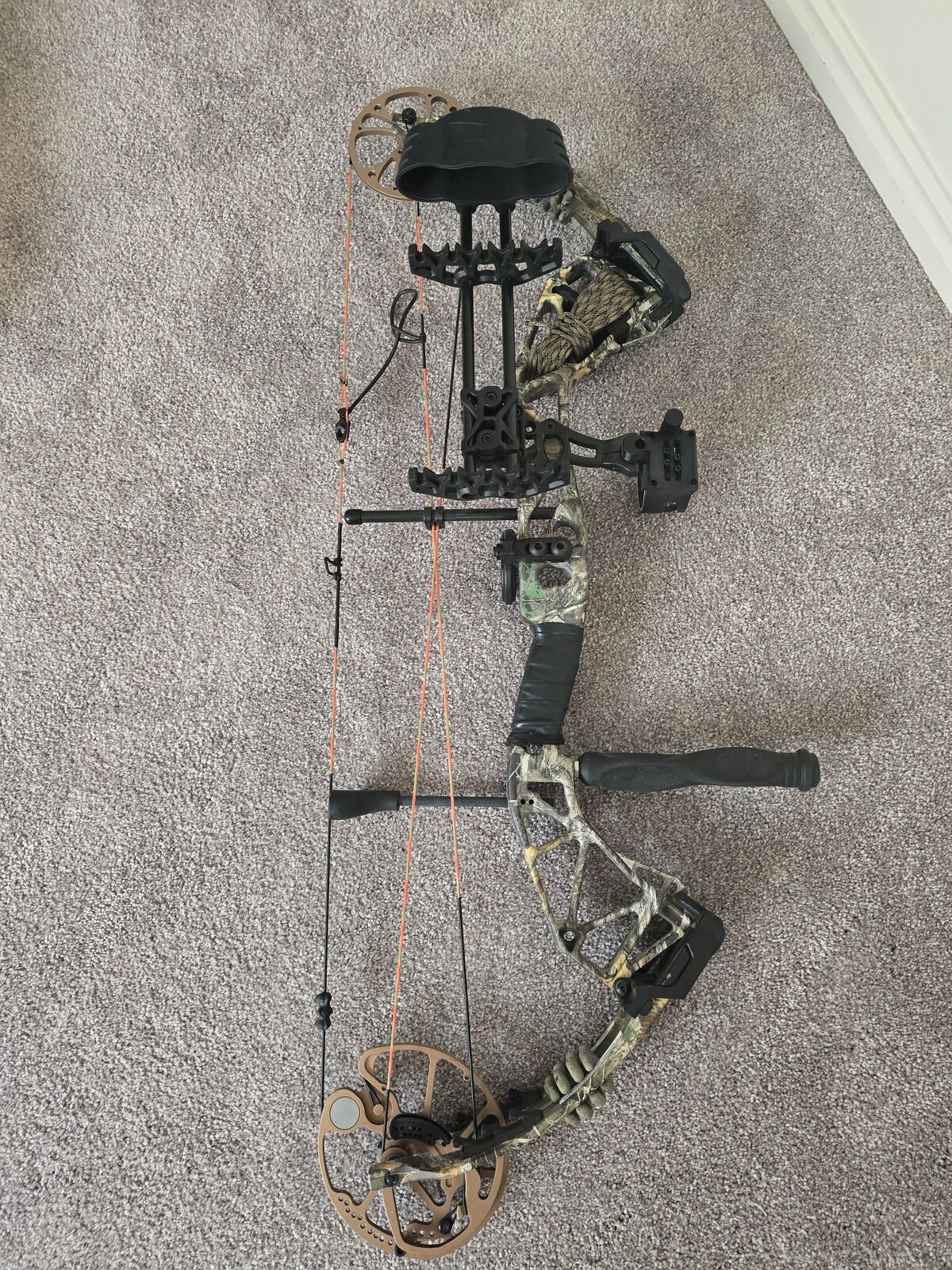 Bear Paradox Compound Bow - RTH - $425 Firm No Trades