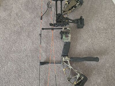 Bear Paradox Compound Bow - RTH - $425 Firm No Trades