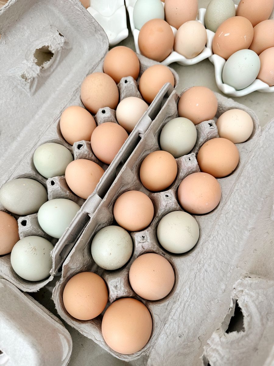 Fresh Chicken Eggs