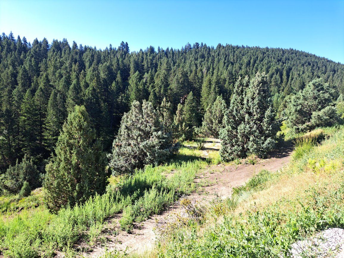 Main image 19