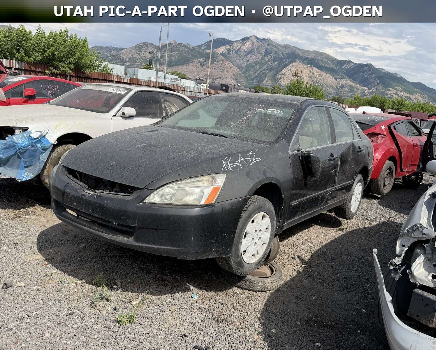 2003 Honda Accord Parts - UTPAP Ogden