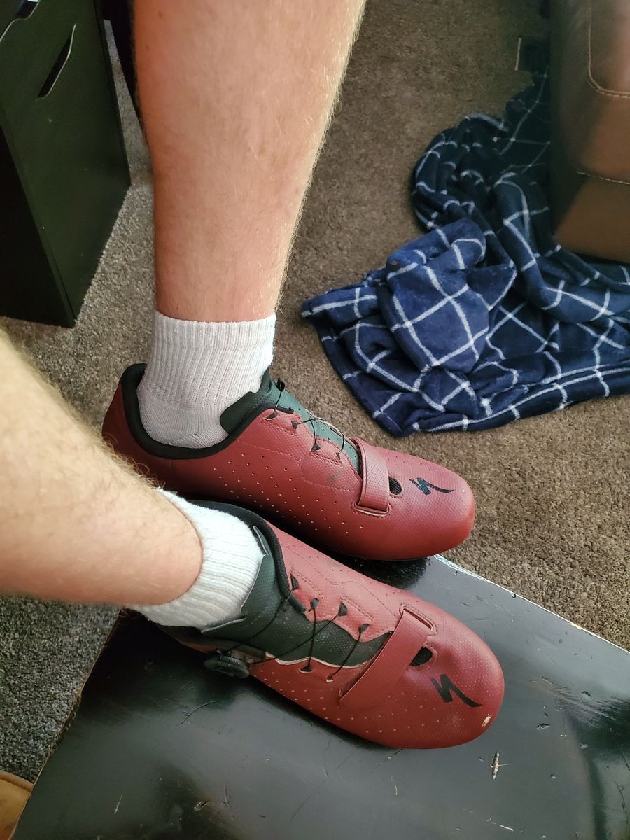 Road Biking Specialized Torch 1.0 Shoes
