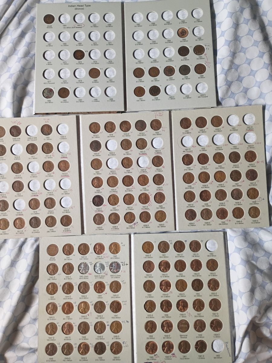 Coon collection