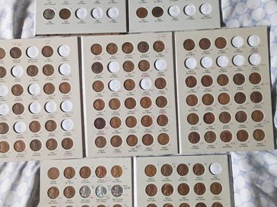 Coon collection