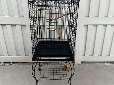 Large Black Wrought Iron Bird Cage with Rolling Stand