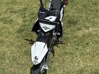 2019, KLX 110