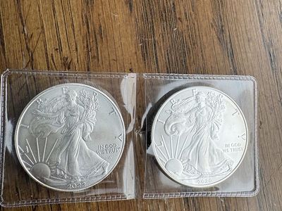 2 Troy Ounce Silver Lot – American Silver Eagles