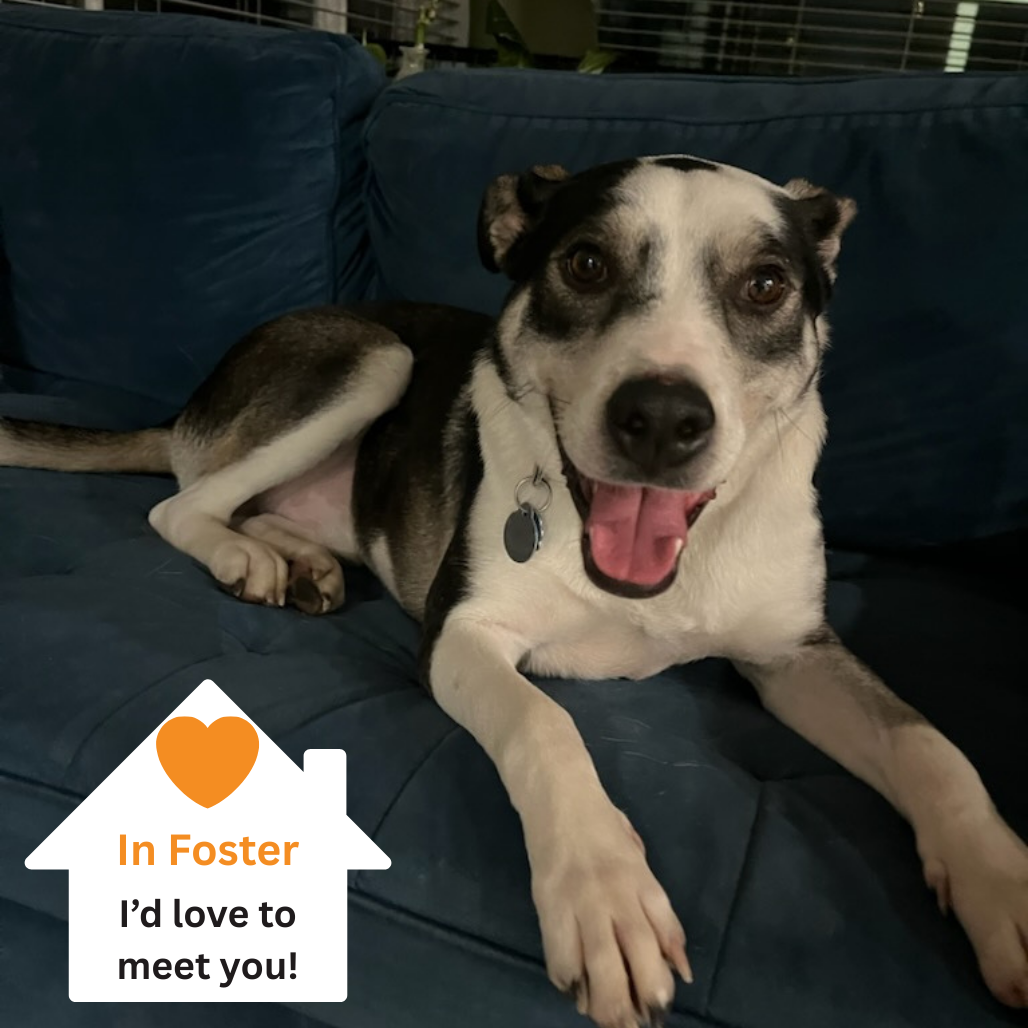 Hello my name is Thaddeus